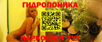 гашишное масло Будённовск