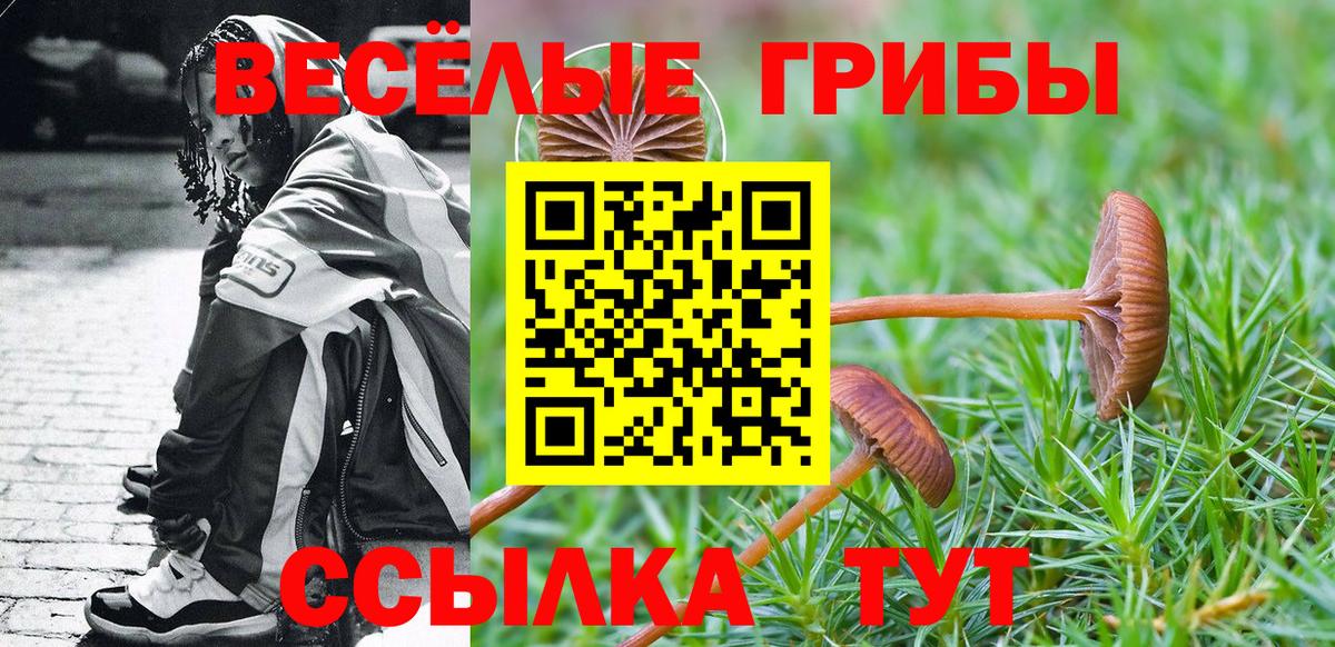 Галлюциногенные грибы Cubensis  Псилоцибиновые грибы Psilocybe  Заречный  Вход с VPN 