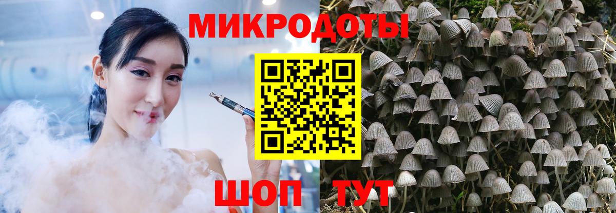Псилоцибиновые грибы Psilocybe Заречный